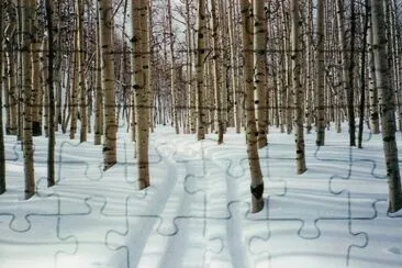 road in winter