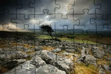 haunted moor