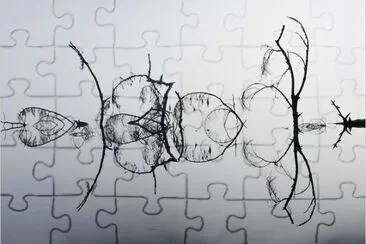 reflection jigsaw puzzle