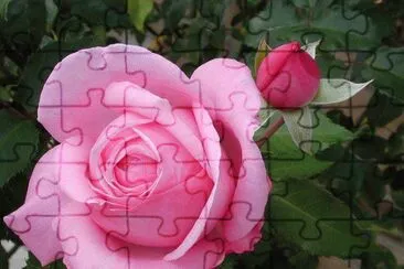 ImÃ¡genes jigsaw puzzle