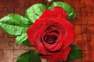 ImÃ¡genes jigsaw puzzle