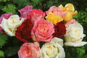 ImÃ¡genes jigsaw puzzle