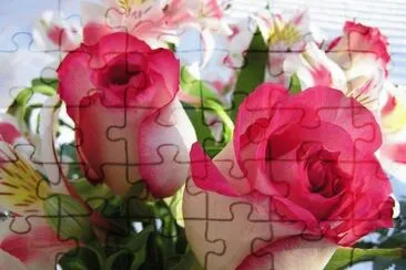 ImÃ¡genes jigsaw puzzle