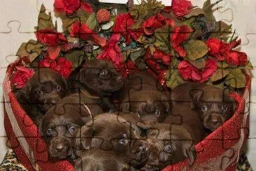 ImÃ¡genes jigsaw puzzle