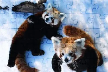 ImÃ¡genes jigsaw puzzle