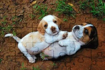 ImÃ¡genes jigsaw puzzle