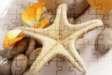 star jigsaw puzzle