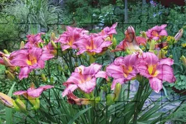 פאזל של Mom 's garden