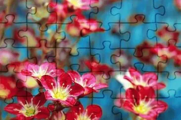ff jigsaw puzzle