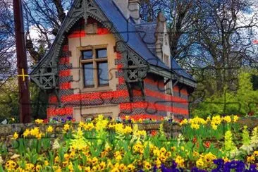 c jigsaw puzzle
