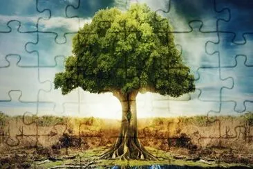 Ã¡rbol