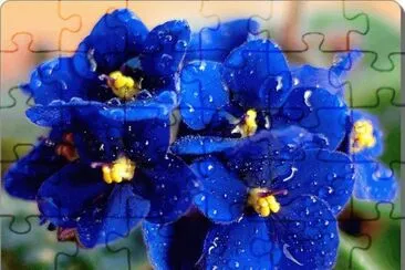 v jigsaw puzzle