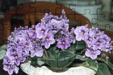 v jigsaw puzzle