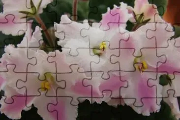 v jigsaw puzzle
