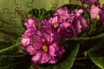 v jigsaw puzzle