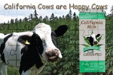 פאזל של California Happy Cow- "Grass Fed " LOL