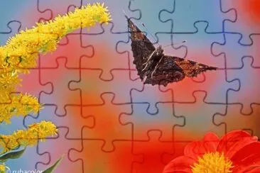 mariposa