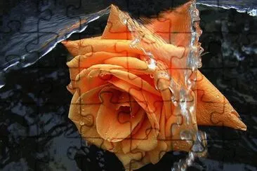 פאזל של rous orange