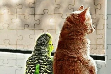 Animaladas jigsaw puzzle