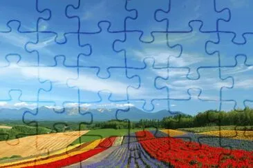 fields jigsaw puzzle