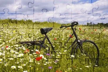 bike and wildflowers jigsaw puzzle