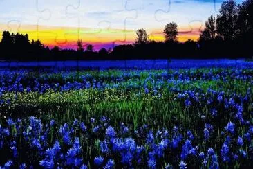 c jigsaw puzzle