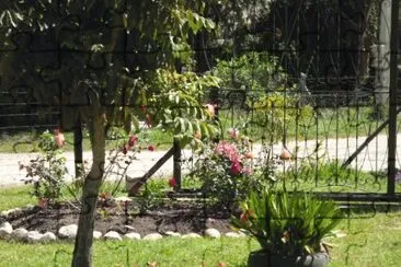 Linda