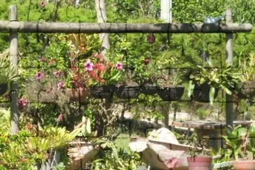 Jardin