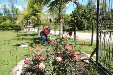 פאזל של Jardin