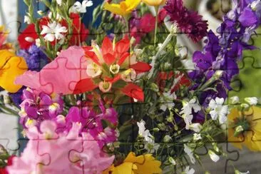 wild flowers