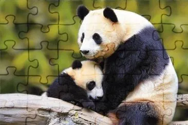 . jigsaw puzzle