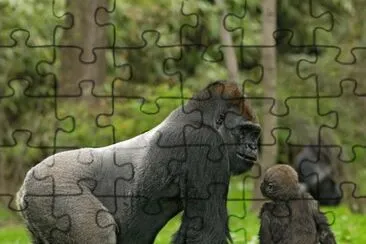 a jigsaw puzzle