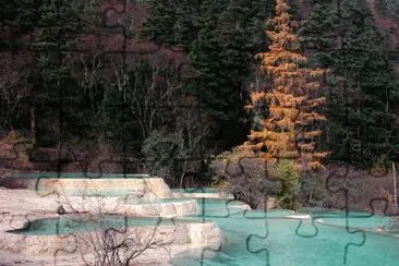 a jigsaw puzzle