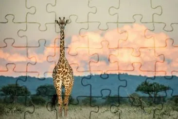 gitafa jigsaw puzzle