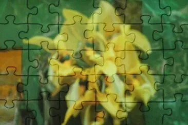פאזל של orquÃ­dea 1