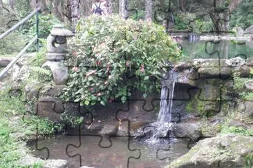 estanque