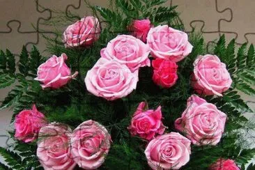 rosas