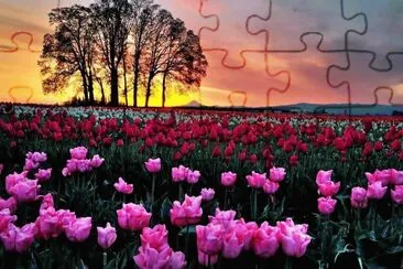 lpo jigsaw puzzle