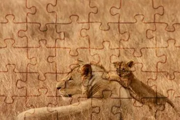 Lions jigsaw puzzle