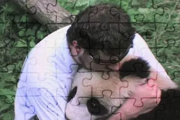 073 jigsaw puzzle