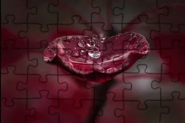 HOJA AL DESPERTAR jigsaw puzzle