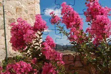 image jigsaw puzzle