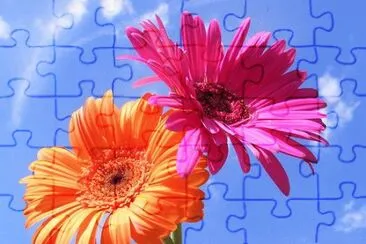 image jigsaw puzzle