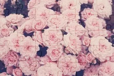 beeac jigsaw puzzle