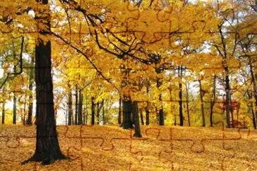 . jigsaw puzzle