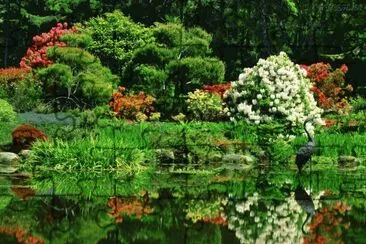 Natureza