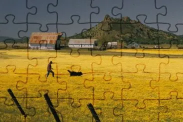 a man, his dog, and flowers
