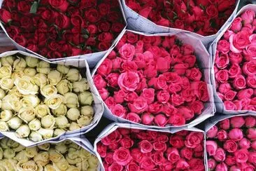 Flores jigsaw puzzle
