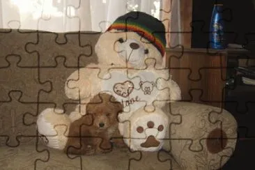 cachorro poodle