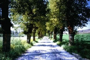 Caminho